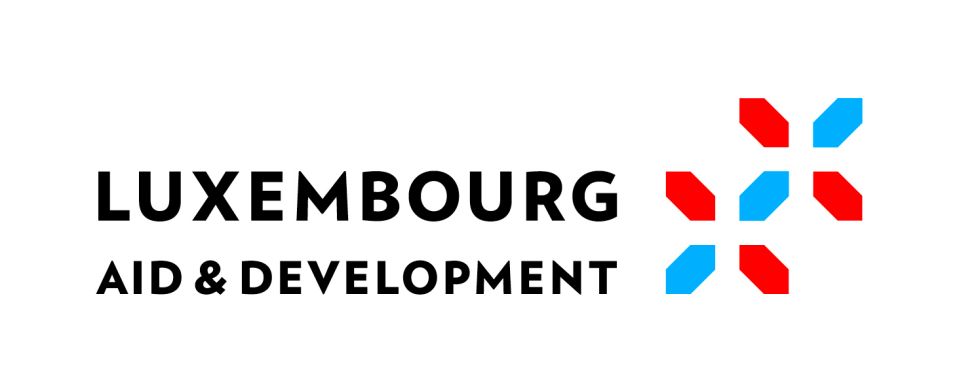 Logo de la Direction de la coopération au développement et de l'action humanitaire